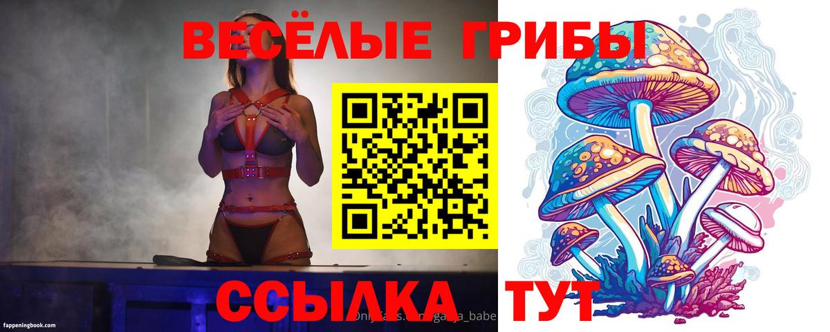 как найти закладки  Галлюциногенные грибы мухоморы  Вход с VPN  Сальск 
